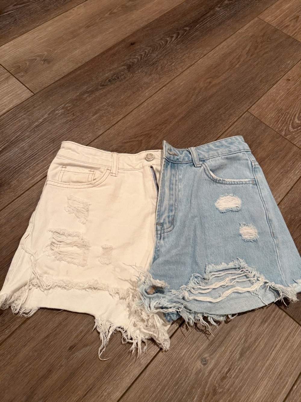 Vervet by Flying Monkeys Shorts